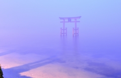 霧の中・夢想