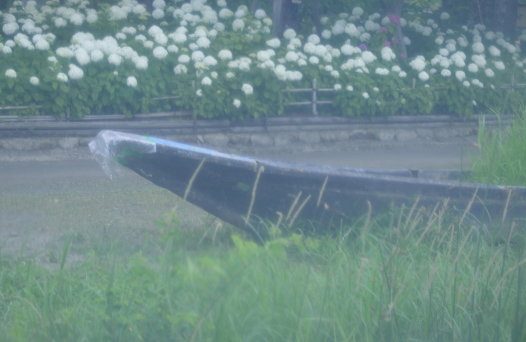 雨霧