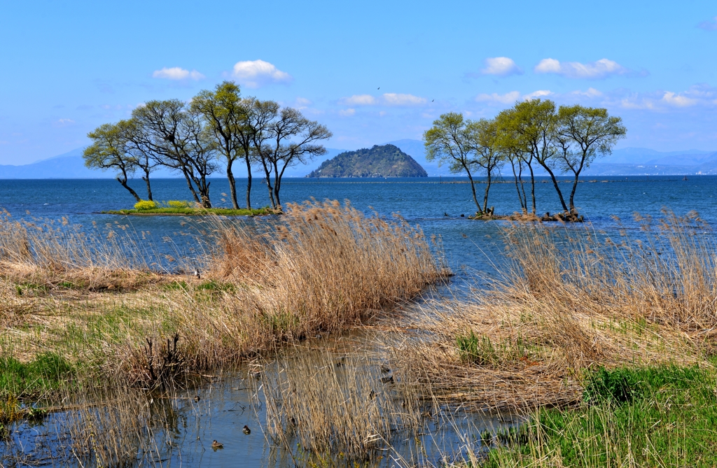 湖北春景色