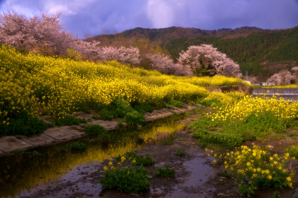 土堤春景