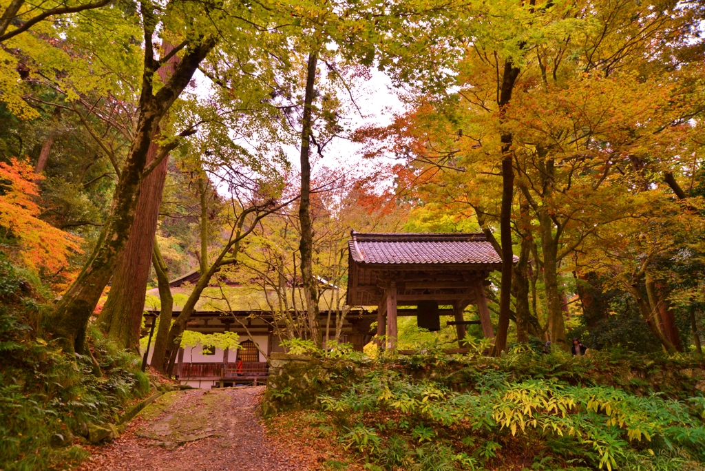 湖東三山百済寺　本堂と鐘楼　10