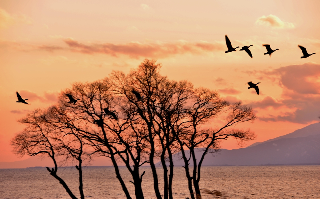 Evening landscape