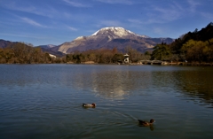 残雪の伊吹山に三島池