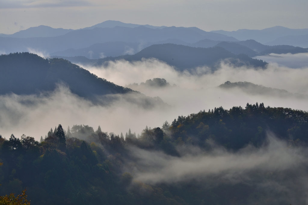 山間の雲
