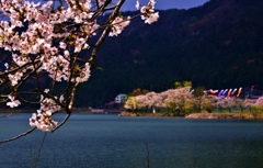余呉湖の春
