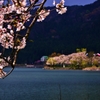 余呉湖の春