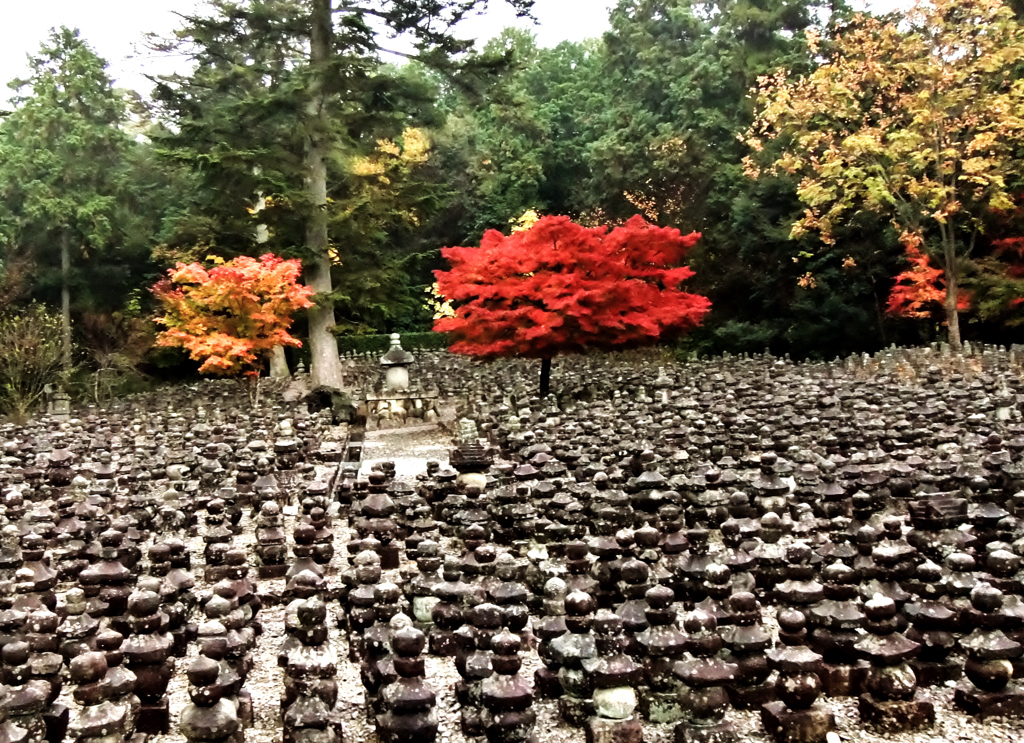 引接寺(いんじょうじ)石塔・石仏