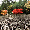 引接寺(いんじょうじ)石塔・石仏