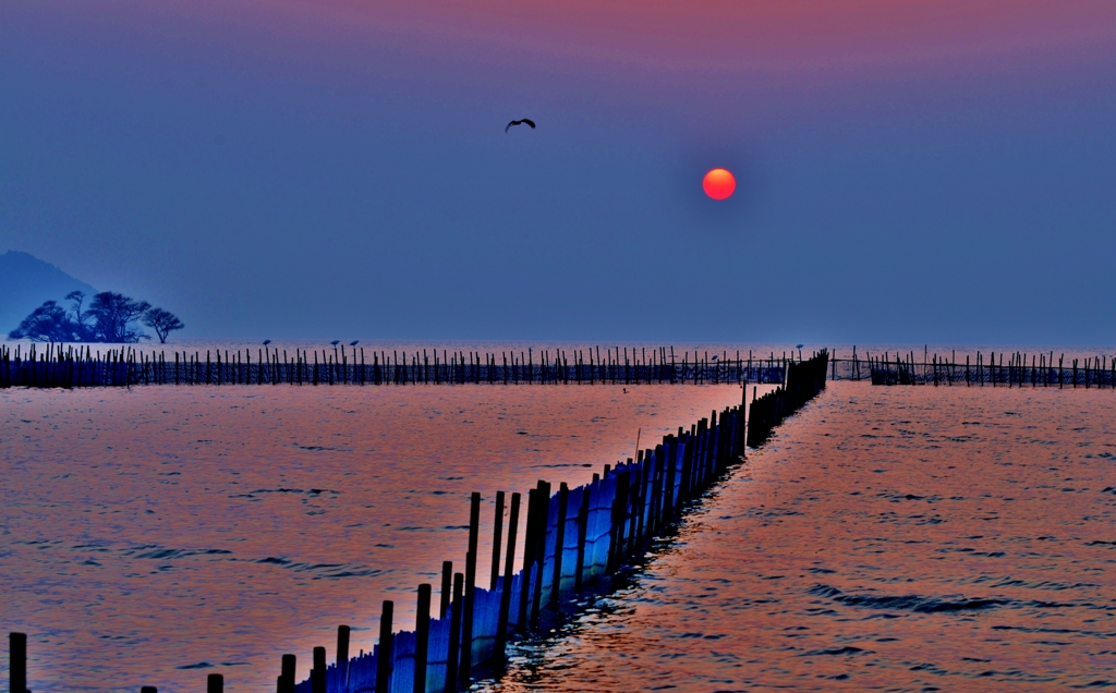 赤い夕陽
