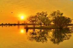 春夕映