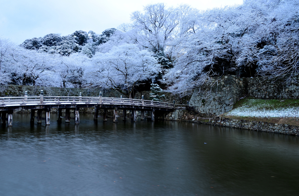 彦根城大手門雪花