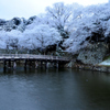 彦根城大手門雪花
