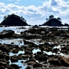 サラシ首層