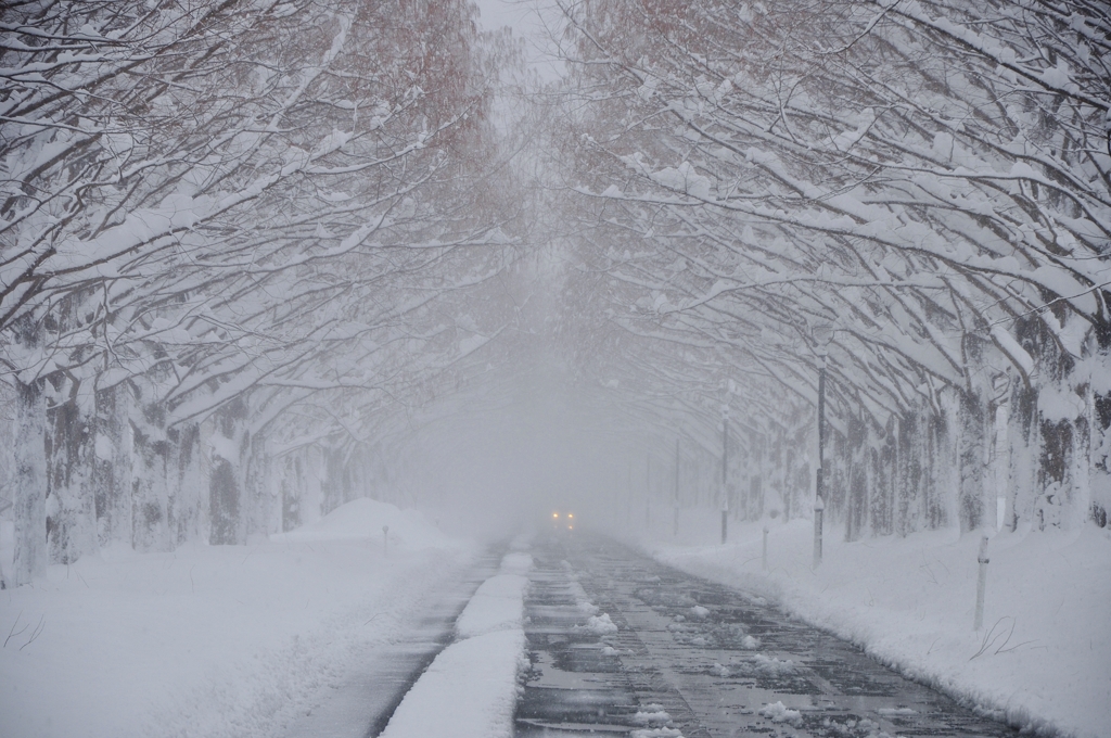 雪煙トンネル