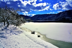 冬の余呉湖