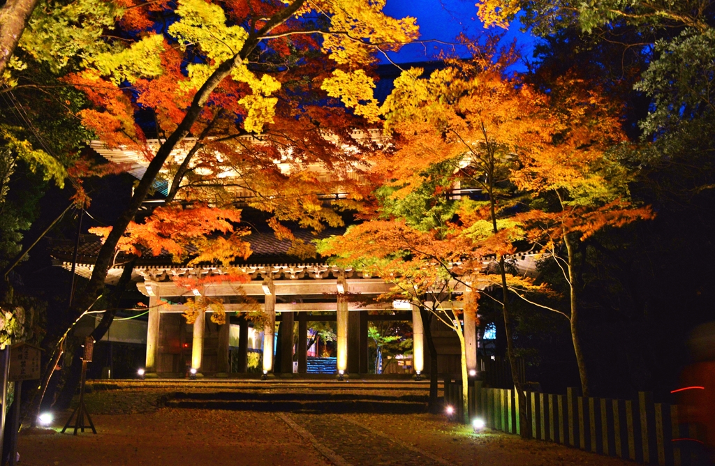 永源寺山門紅葉　3-1