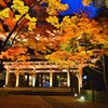 永源寺山門紅葉　3-1