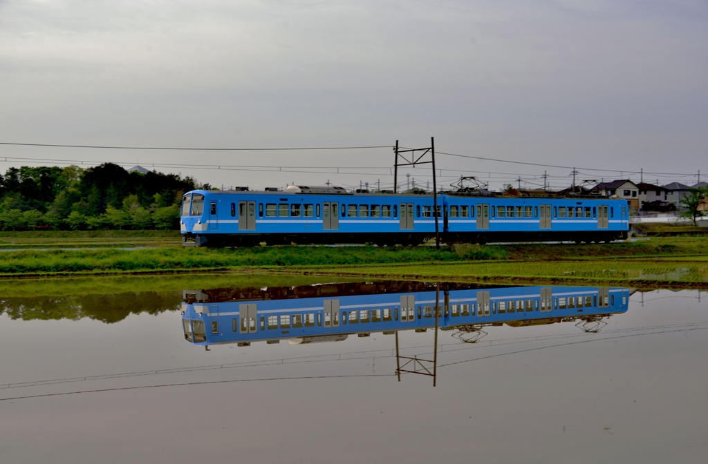 映る電車