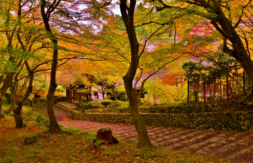 湖東三山百済寺　表門からの参道石段　4