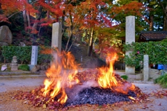 落葉焚き火