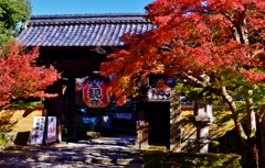 湖東三山金剛輪寺山門紅葉