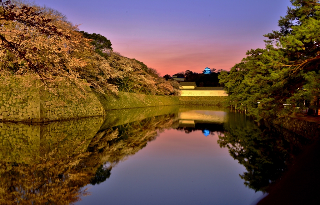 夕明り彦根城濠端