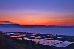 琵琶湖マジックアワーの水田風景