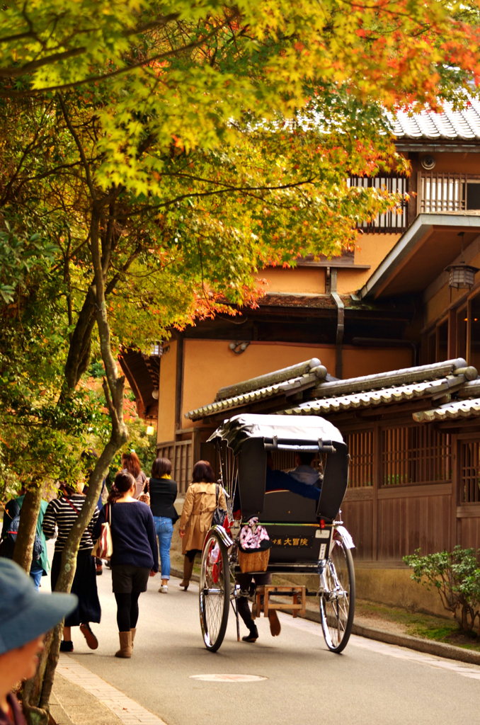 紅葉を求めて