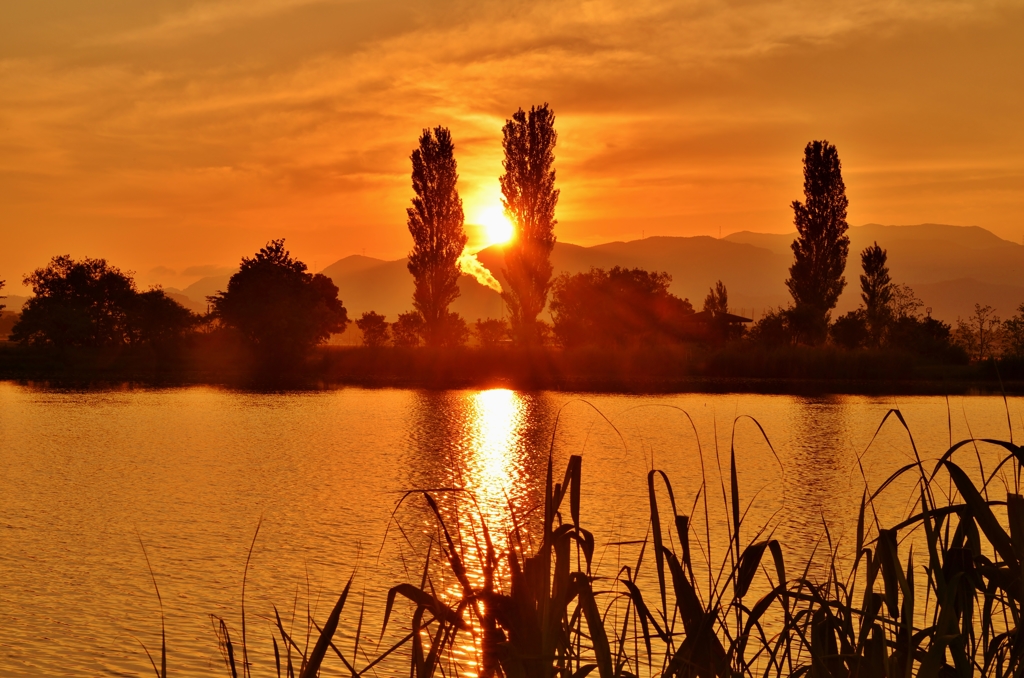 朝日輝かし野田沼