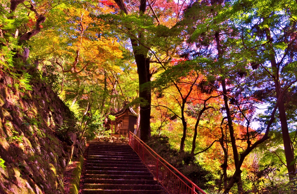 彦根の名刹延寿禅寺　秋ぶらり　2