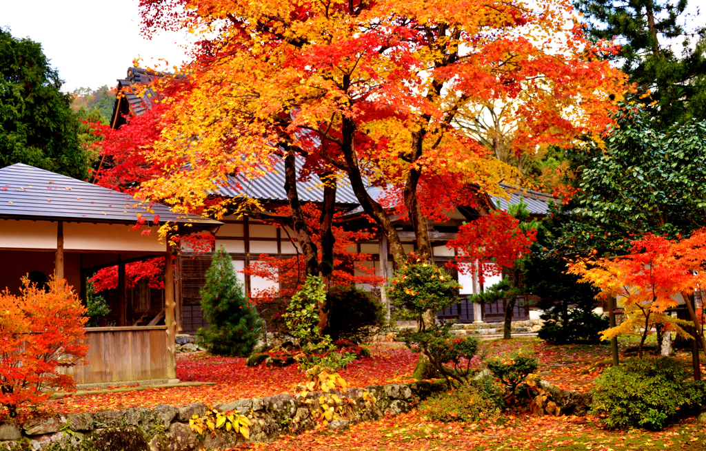 紅葉の興聖寺 By 近江源氏 Id 写真共有サイト Photohito