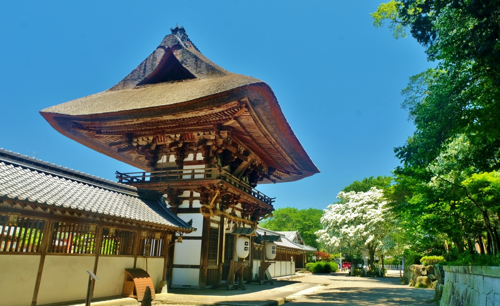 沙沙貴神社　楼門