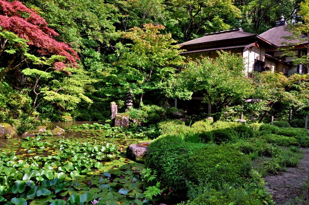 金剛輪寺明寿院・書院東庭（江戸時代初期）