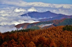 晩秋の山肌