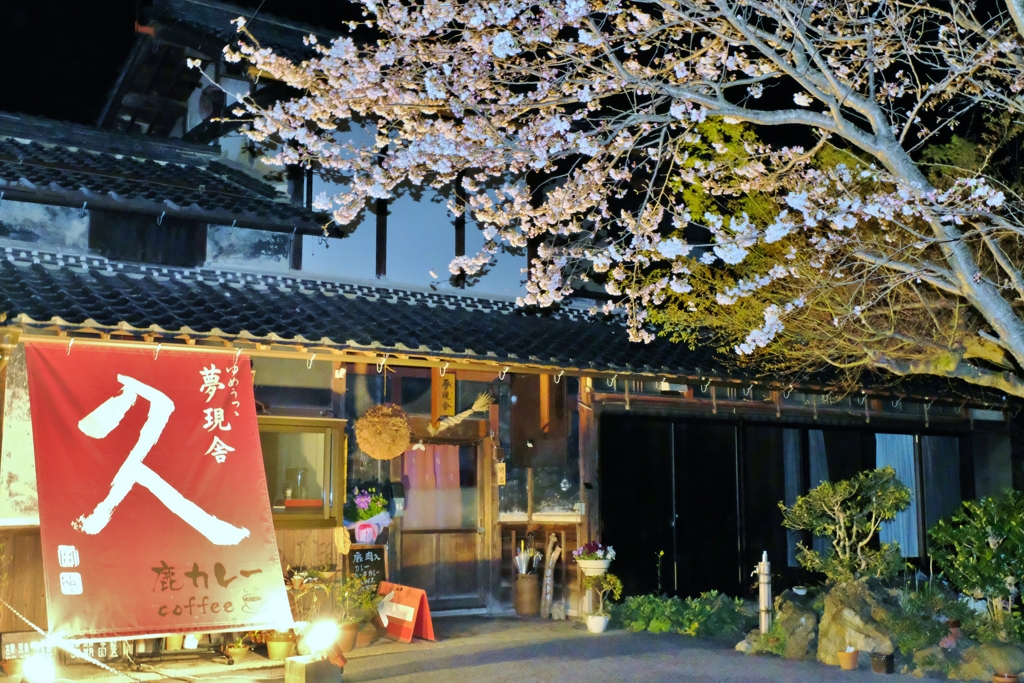 店は閉店夜桜開店