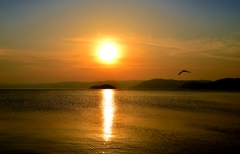 夕景
