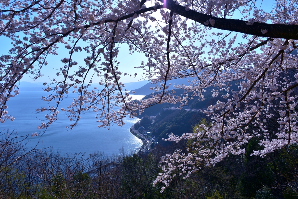 近江隠れ里菅浦の春