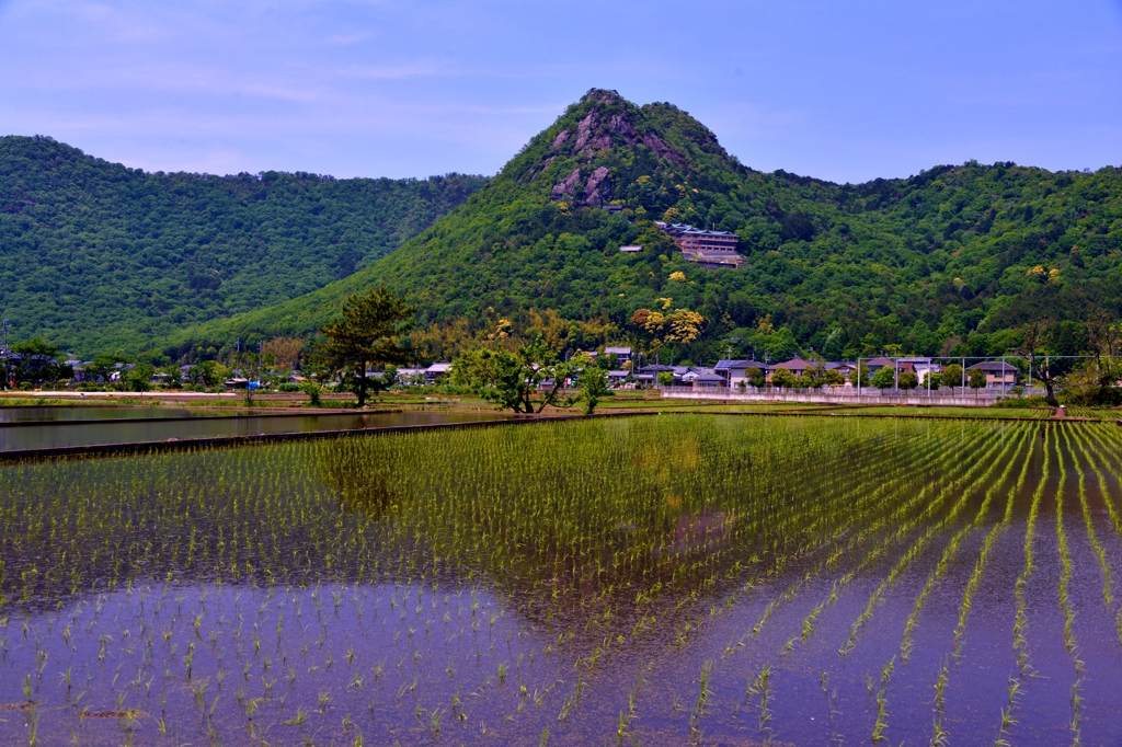 太郎坊宮水鏡田　4-3