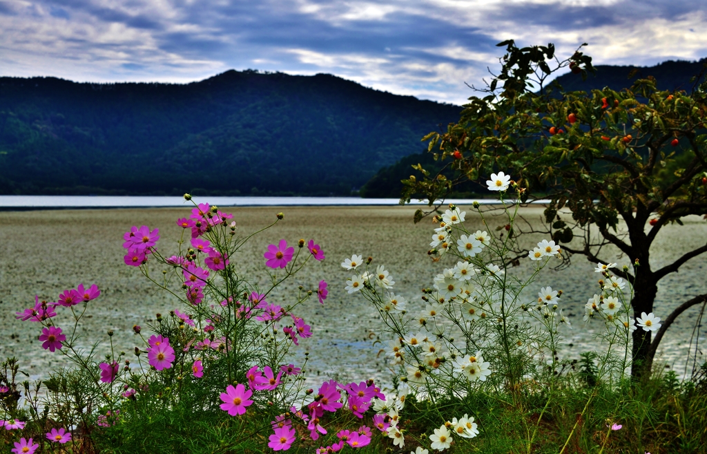 余呉湖秋景