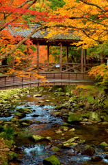 佛通寺紅葉　Ⅲ