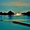 朝の海