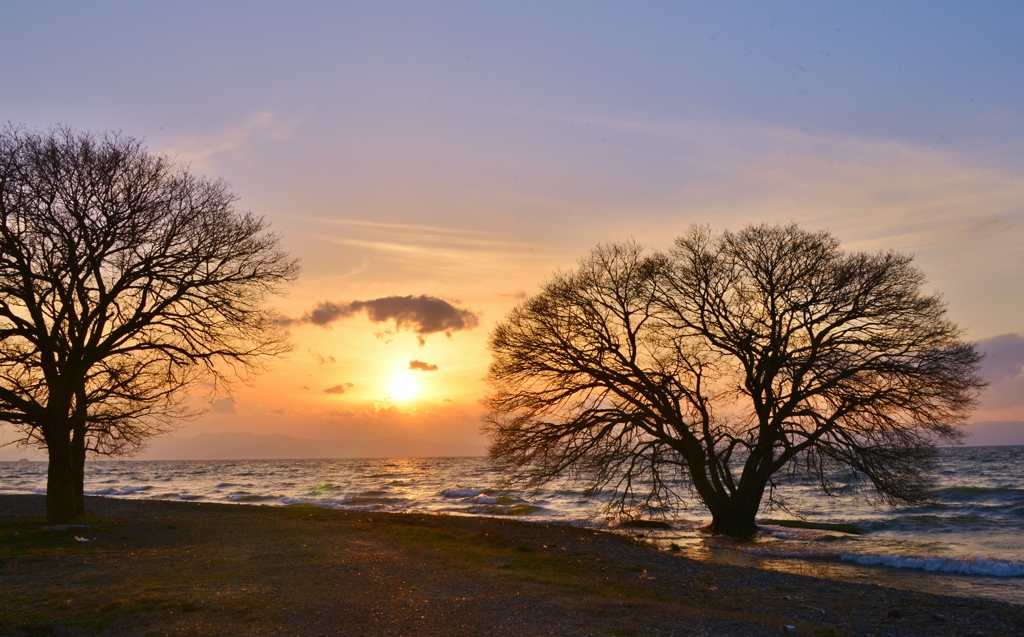 夕陽冥利