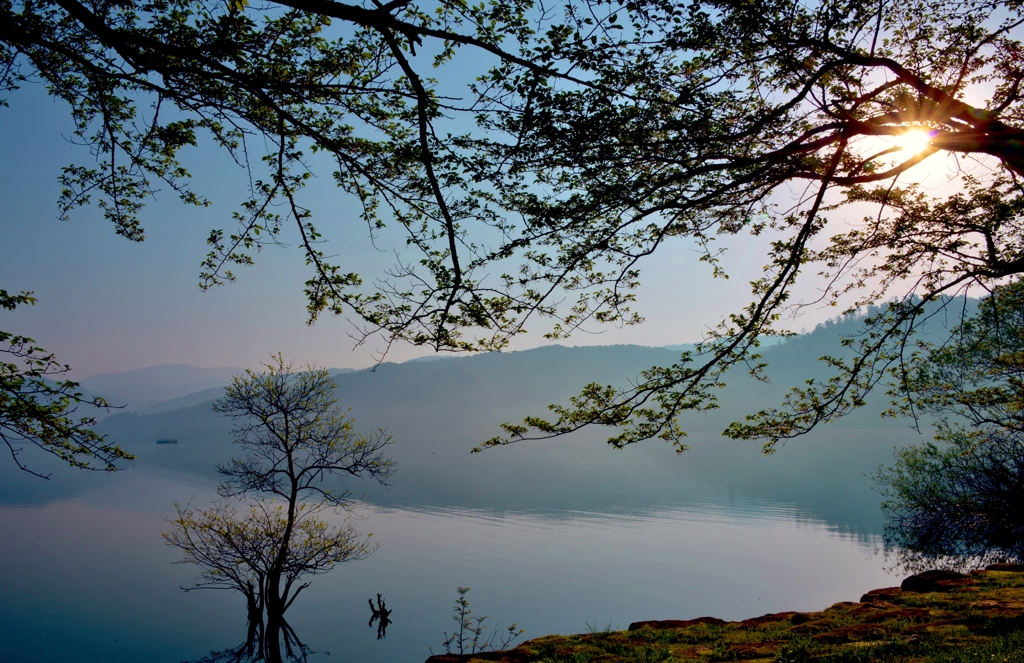 芽吹く余呉湖寸景