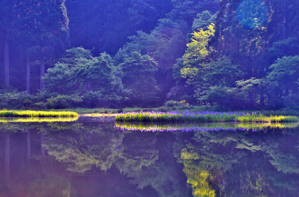 光差す
