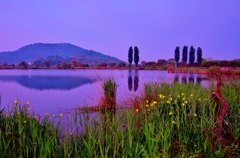 野田沼朝景