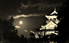 月光の長浜城