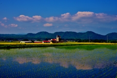 田園