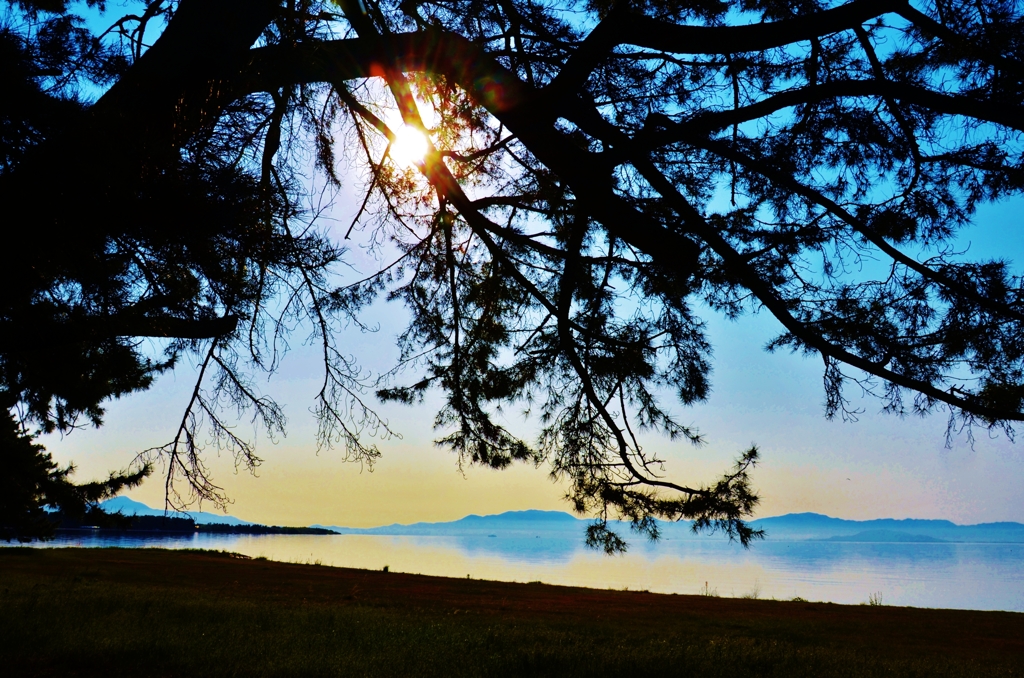 湖西湖辺の朝
