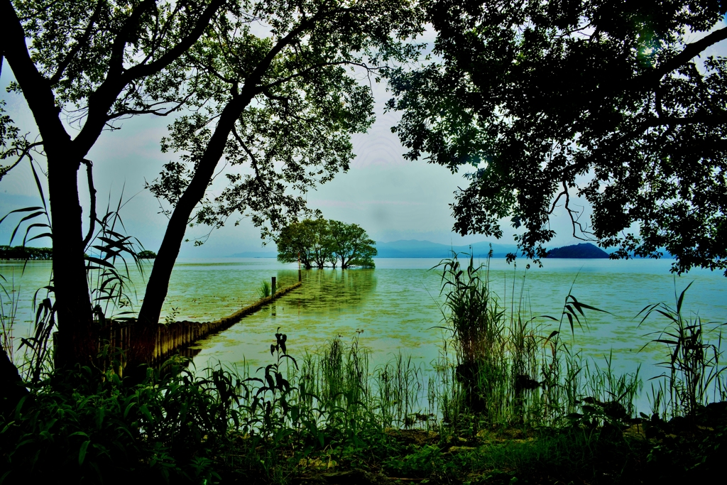 水無月の湖北水景　2-1