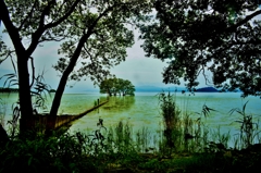 水無月の湖北水景　2-1